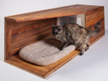 Home Improvement Ideas Catering For Your Cat