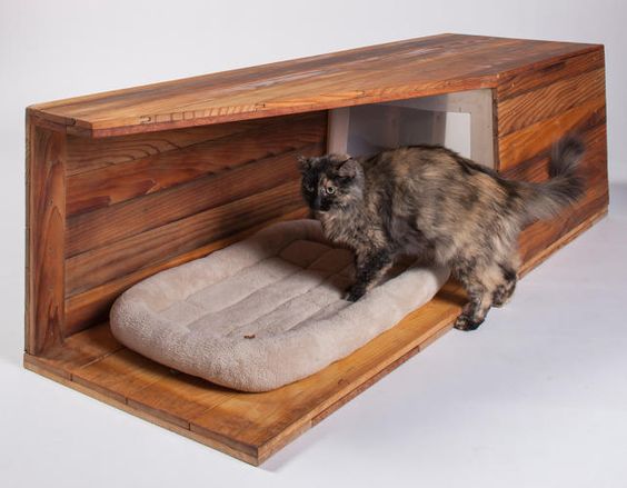 Home Improvement Ideas Catering For Your Cat