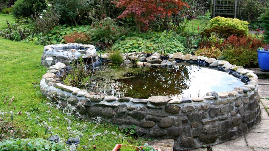Install A Pond Pump In Your Garden For A Unique Atmosphere