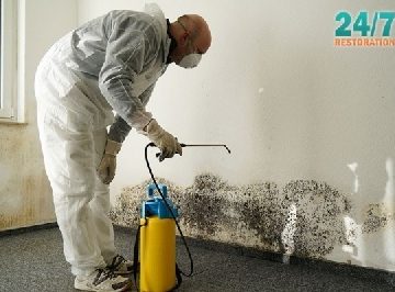 How To Protect Your Home (And Your Family) From The Dangers Of Mold!