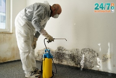 How To Protect Your Home (And Your Family) From The Dangers Of Mold!