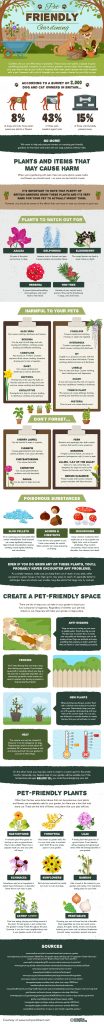 Making Your Garden More Pet Friendly
