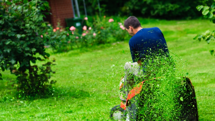 Buying Your First Lawn Mower? Here Are the Things You Should Watch For